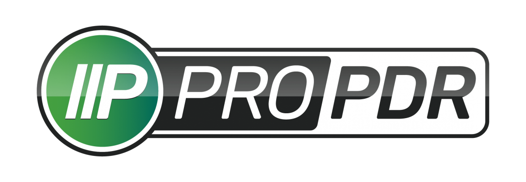 Pro PDR Solutions